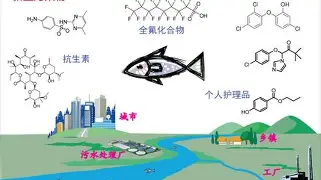 风云突变尼斯今夜迎来里程碑窗口期洛杉矶湖人伤情更新之后，加时末段国际米兰调整名单以备国王杯的简单介绍